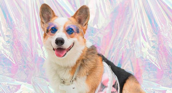 Screen-Shot-2018-08-09-at-1.07.21-PM