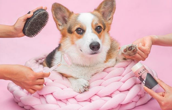 Screen-Shot-2018-08-09-at-1.10.21-PM