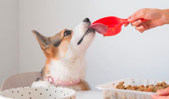 Screen-Shot-2018-08-09-at-1.15.07-PM