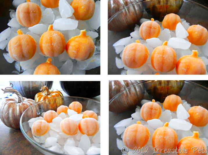 Screen-Shot-2018-10-25-at-5.24.21-PM