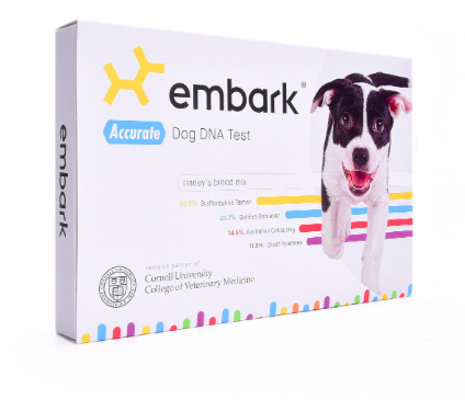 Screen-Shot-2018-11-15-at-11.10.38-AM