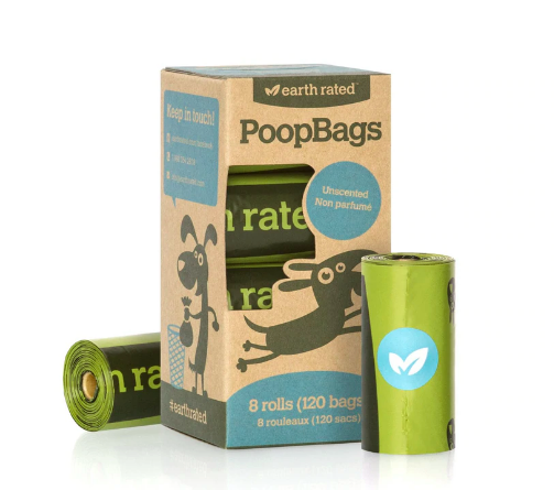 Screen-Shot-2018-11-15-at-11.13.31-AM