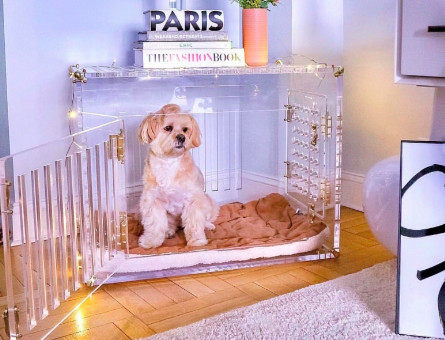 Screen-Shot-2019-01-23-at-4.31.07-PM