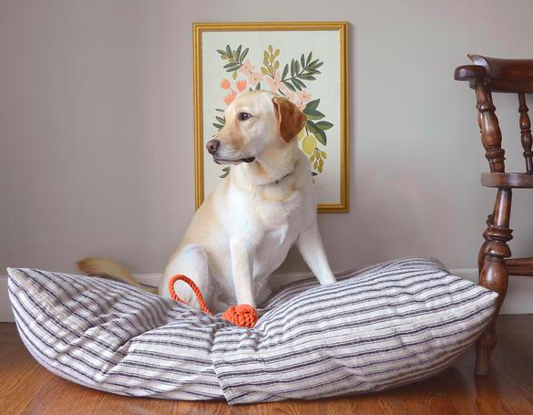 Screen-Shot-2019-01-24-at-10.13.10-AM