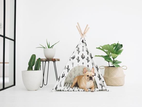 Screen-Shot-2019-01-24-at-12.00.39-PM