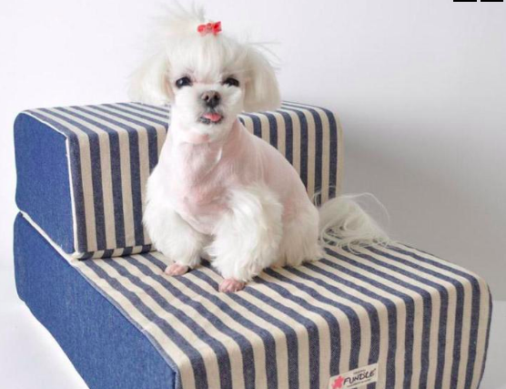 Screen-Shot-2019-01-24-at-12.53.09-PM