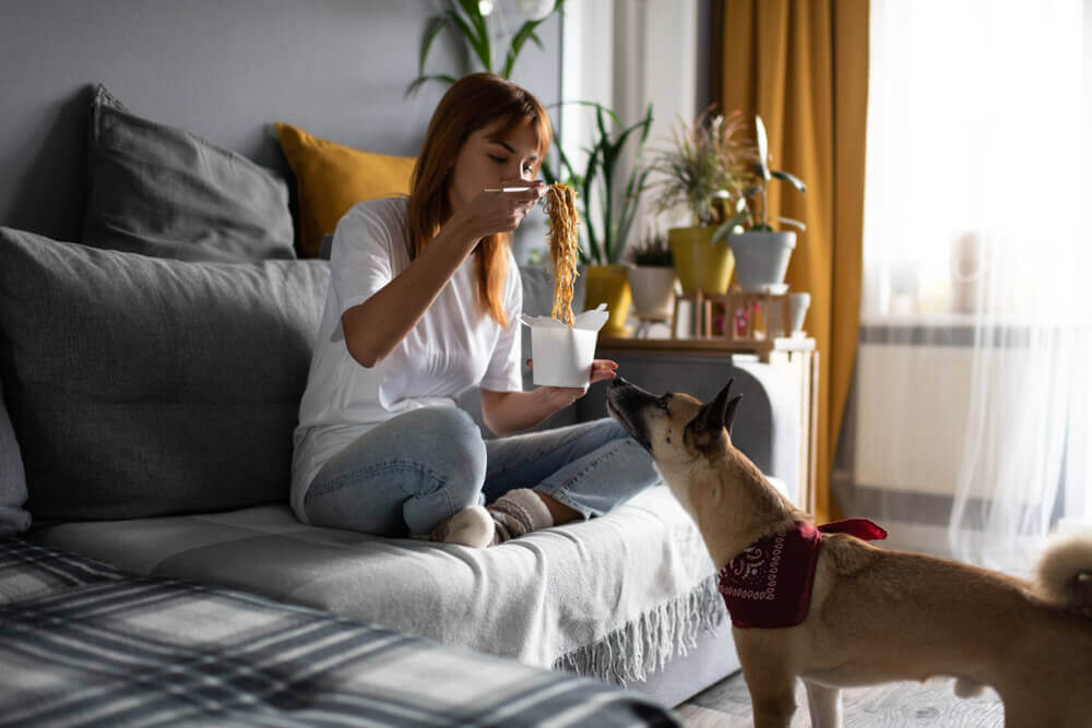 woman-feeds-soy-noodles-to-her-dog
