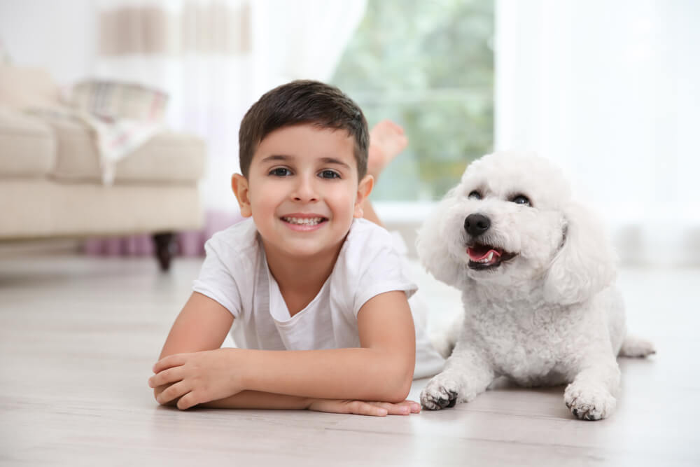 Bichon-Frise-and-little-boy-lay-on-the-floor-in-the-living-room