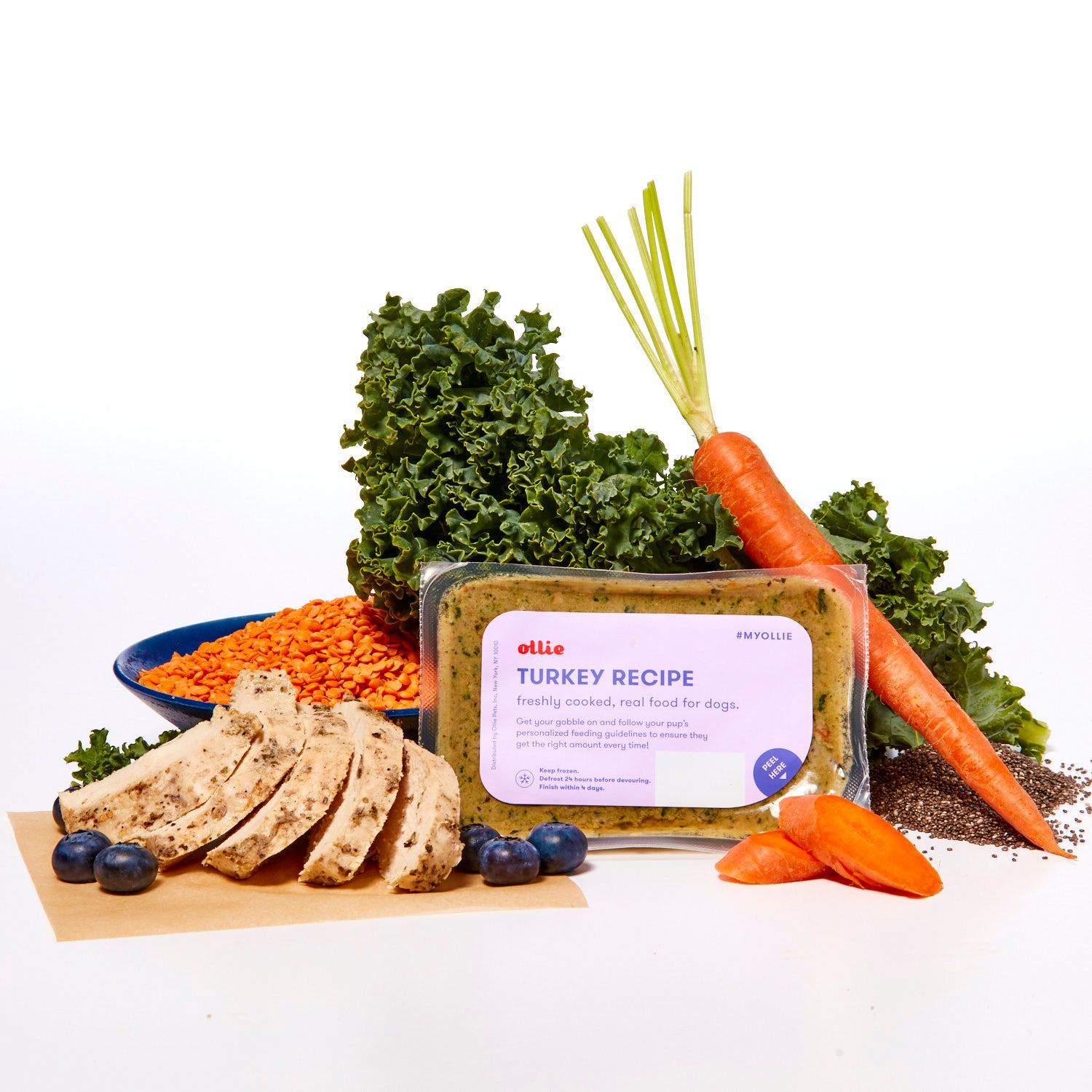 ollie-fresh-turkey-recipe-for-dogs