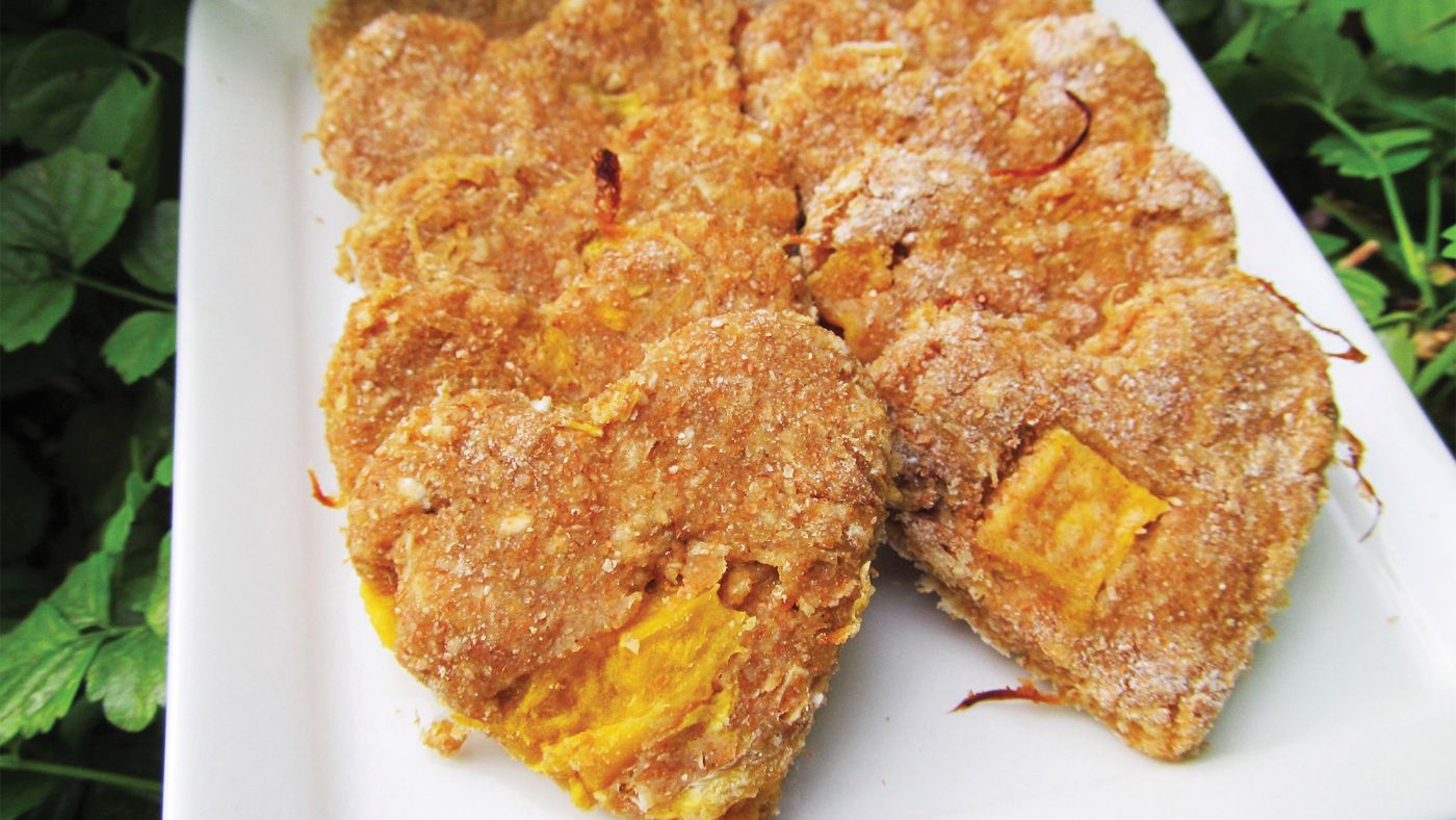 mango-chicken-dog-cookies-1