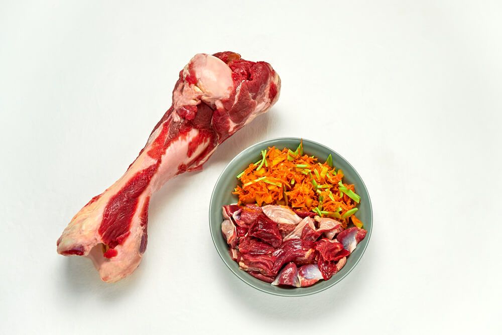 raw-dog-food-in-a-bowl-next-to-large-raw-dog-bone