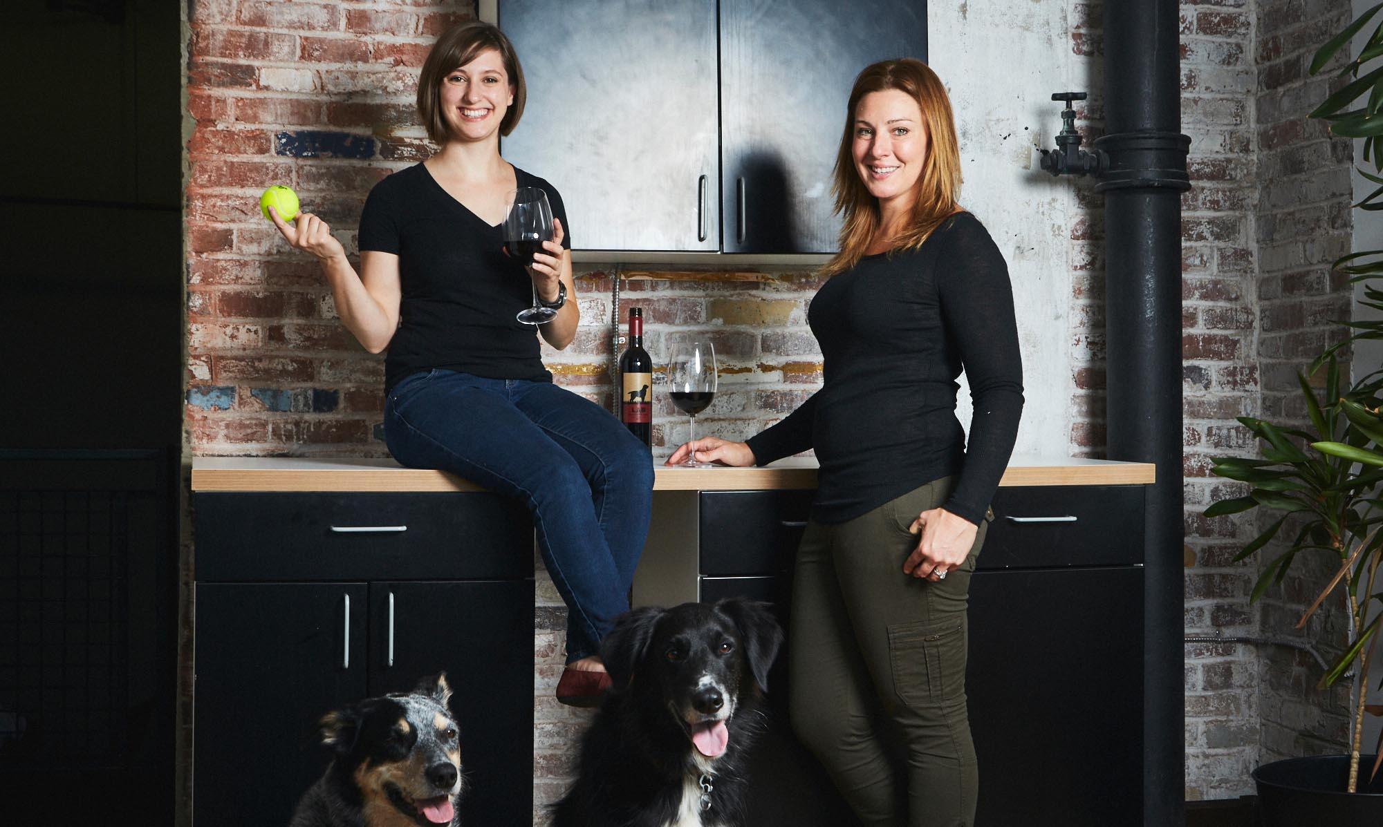 meet-our-trainers-banner