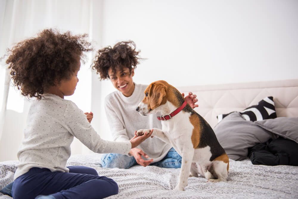 young-mother-sits-on-bed-with-her-daughter-and-puppy
