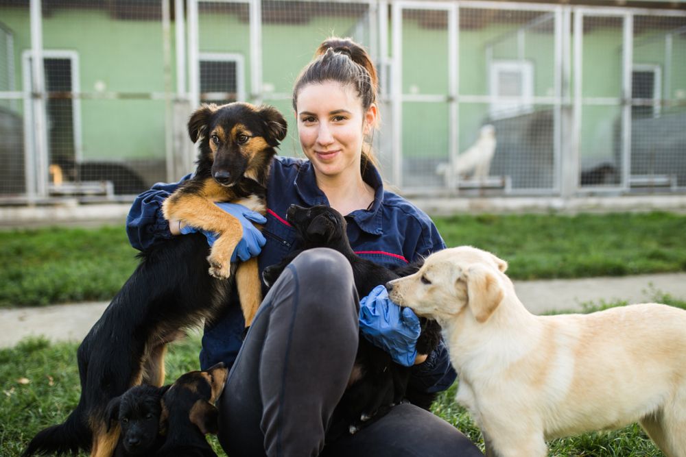 young-woman-volunteers-at-local-dog-shelter