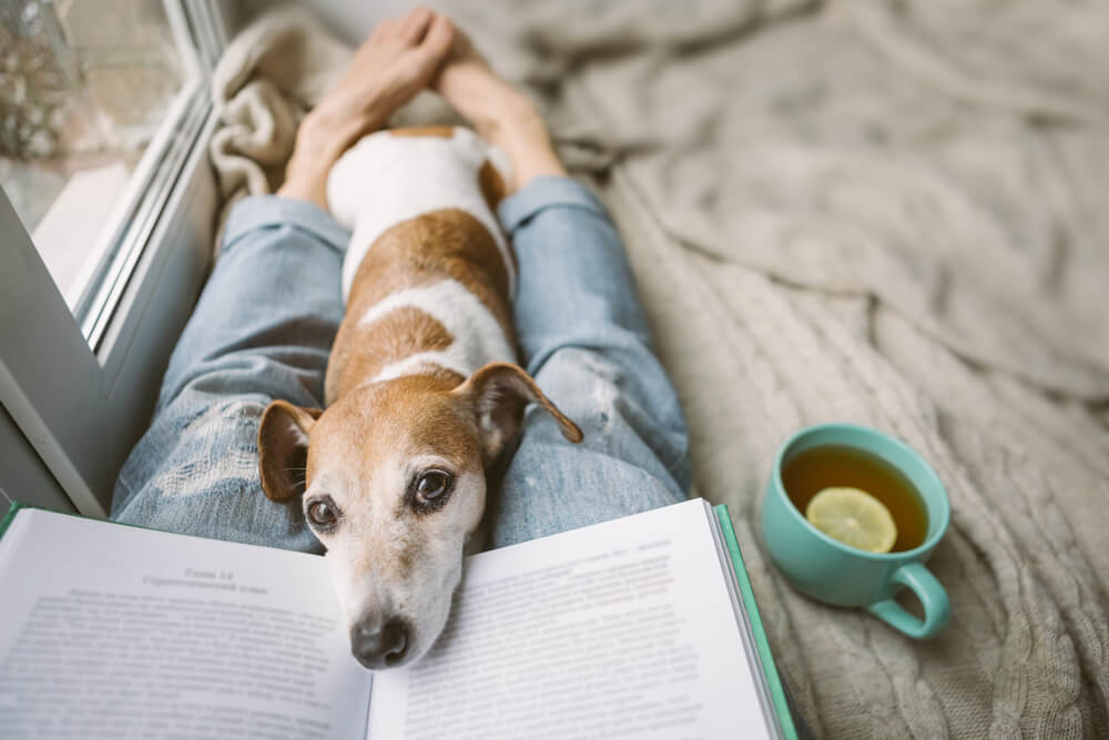 readingwithadog