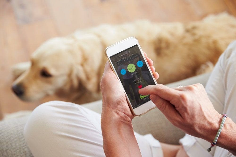 woman-checks-dog-s-app-data