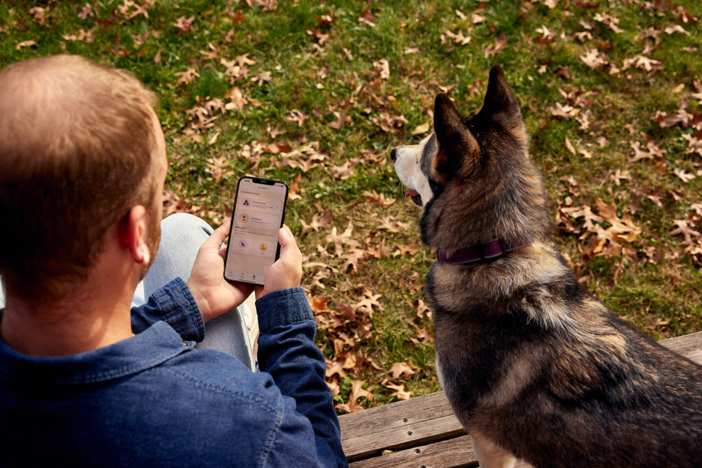 A red haired man using the Ollie app's health screenings on his phone while sitting outside with his brown and white Husky dog.
