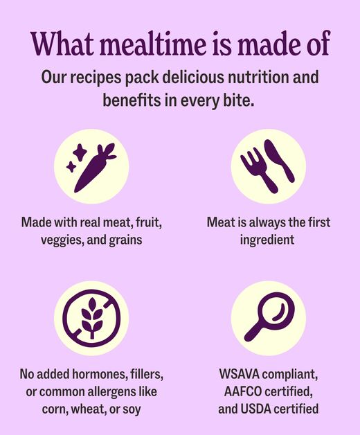 Promotional graphic for Ollie dog food titled "What mealtime is made of," highlighting delicious nutrition and benefits in every bite with icon illustrations.