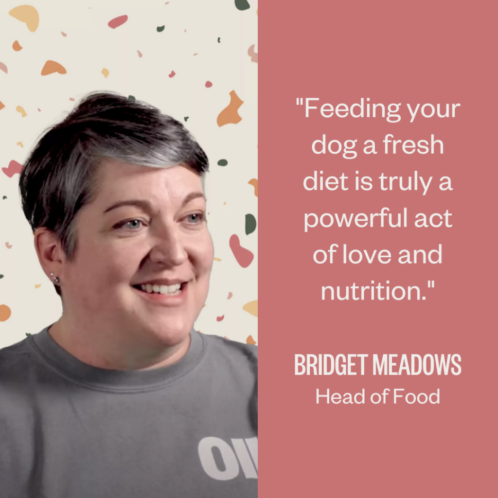 Feeding your dog a fresh diet is truly a power act of love and nutrition