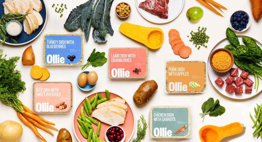 Ollie food laying flat