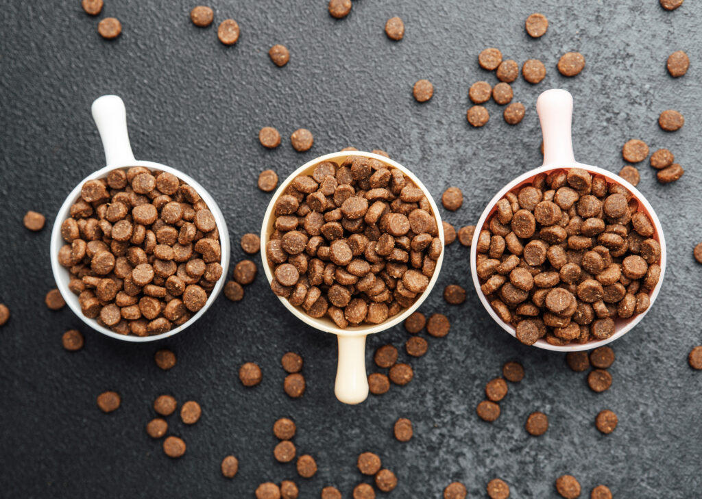 Three bowls of dry dog food on black textured background with scattered kibble