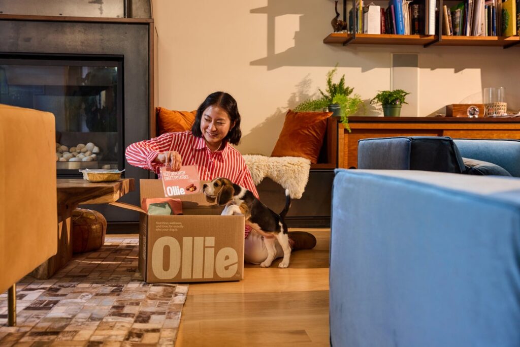 ollie dog food